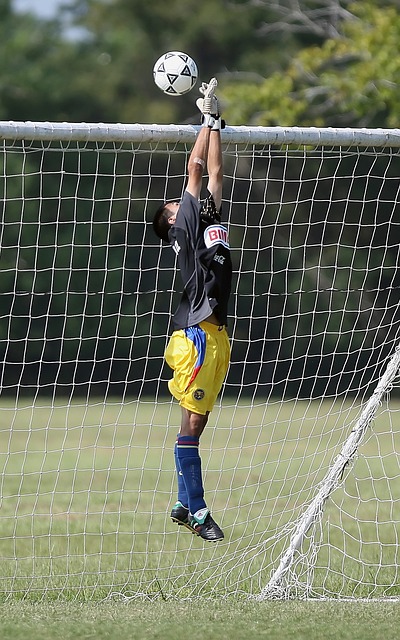 提高球队整 提高球队整