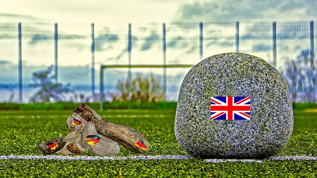 泛倡导的意 泛倡导的意