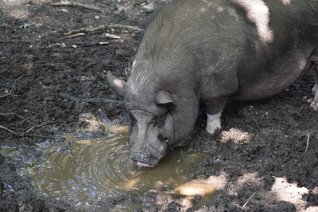 篮板和防守 篮板和防守