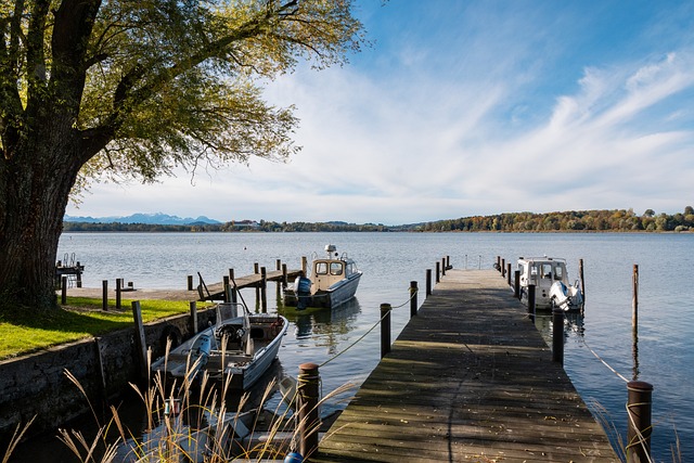 轻选手郑钦 轻选手郑钦