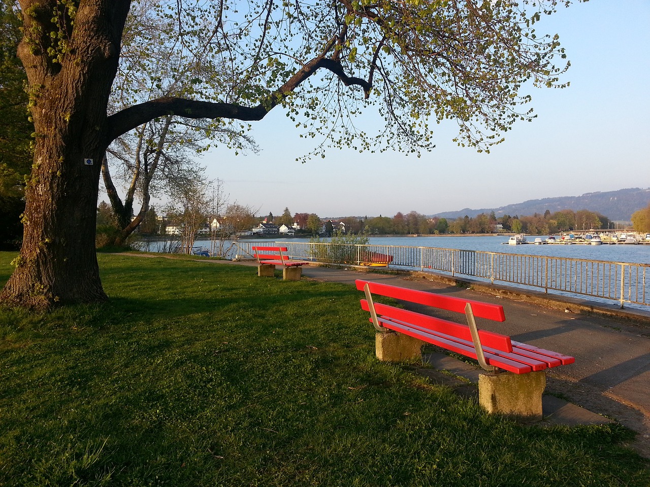 小的麻烦 小的麻烦